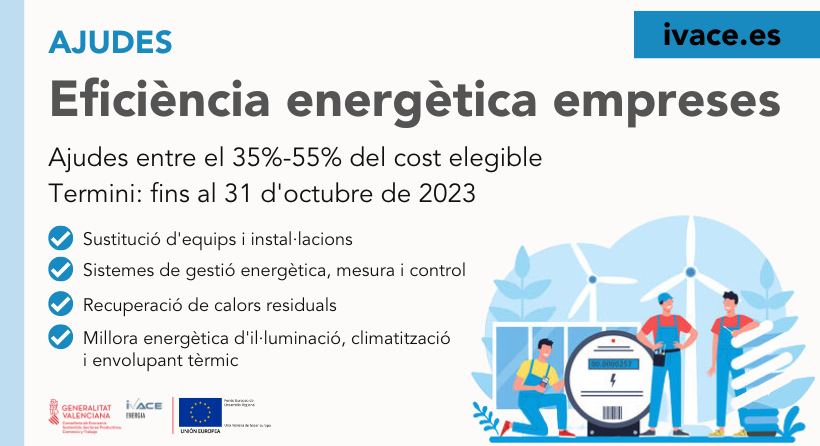 eficiencia empresa y entidades v