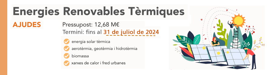 renovables termicas val 3