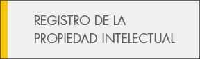 REGISTRO PROP. INTELECTUAL-CS