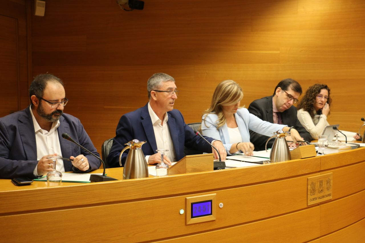 Comparecencia Climent